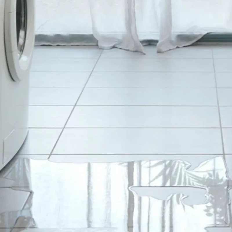 Appliance Leak Cleanup in McHenry County, IL