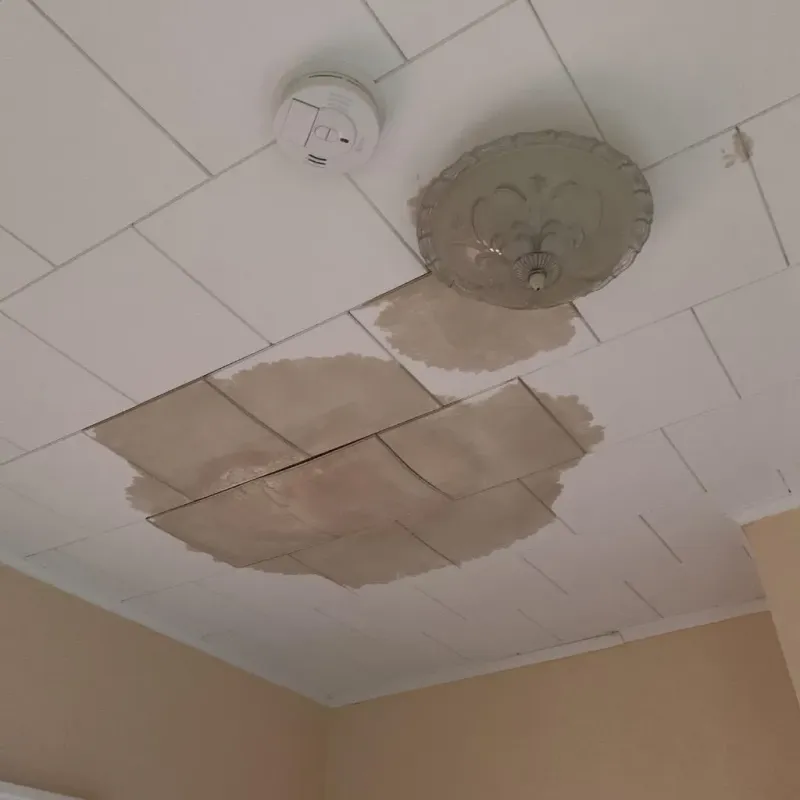 Ceiling Water Damage Repair in McHenry County, IL
