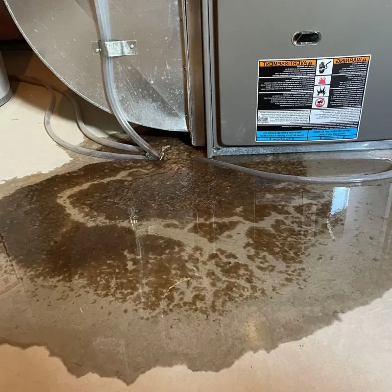 Pipe Burst and Leak Restoration in McHenry County, IL