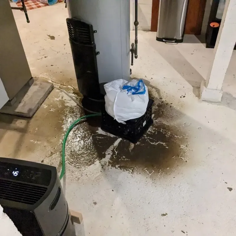 Sewage Backup Cleanup Service in McHenry County, IL